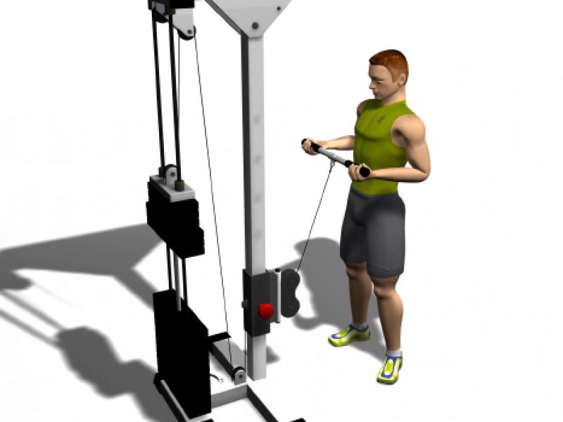 Standing supinated low pulley curl STUDIOGYM