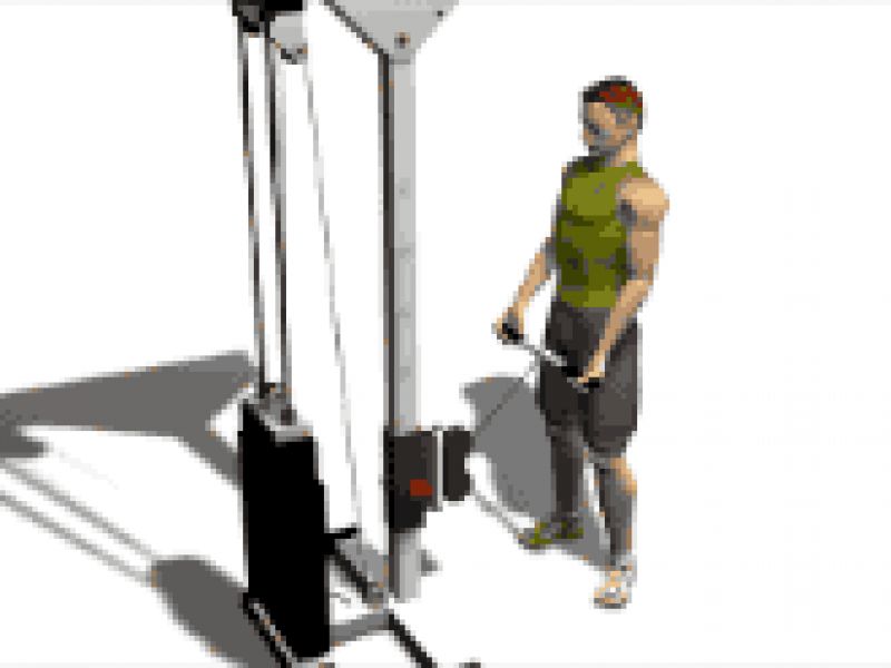 Standing supinated low pulley curl STUDIOGYM